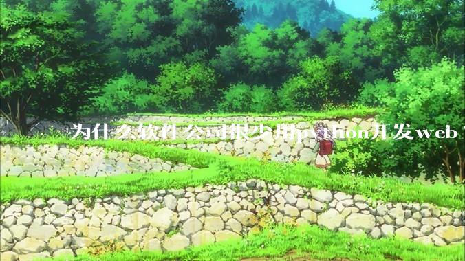 为什么软件公司很少用python开发web?